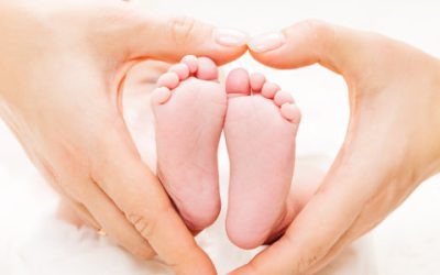 Pro-Life Team Podcast